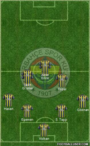Fenerbahçe SK Formation 2013