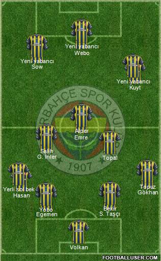 Fenerbahçe SK Formation 2013