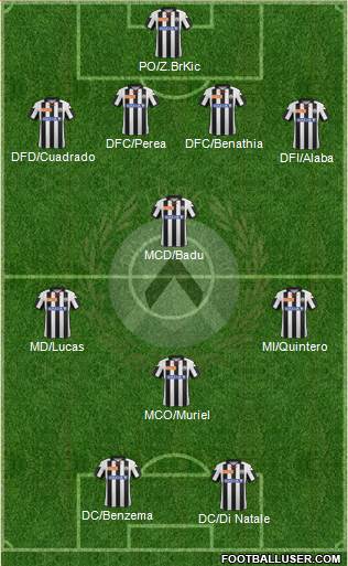 Udinese Formation 2013