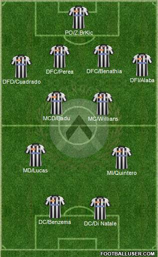 Udinese Formation 2013