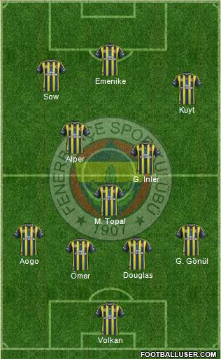 Fenerbahçe SK Formation 2013