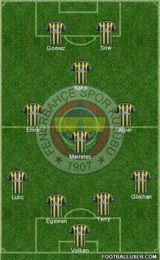 Fenerbahçe SK Formation 2013