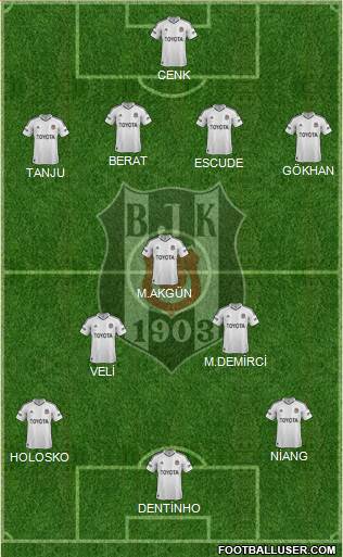 Besiktas JK Formation 2013