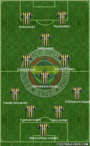 Fenerbahçe SK Formation 2013