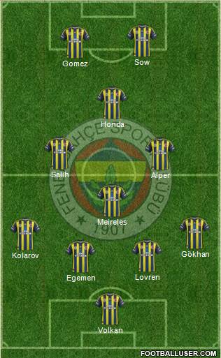 Fenerbahçe SK Formation 2013