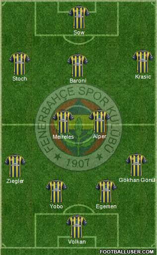 Fenerbahçe SK Formation 2013