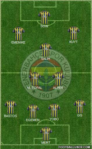 Fenerbahçe SK Formation 2013