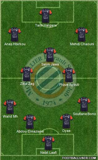 Montpellier Hérault Sport Club Formation 2013