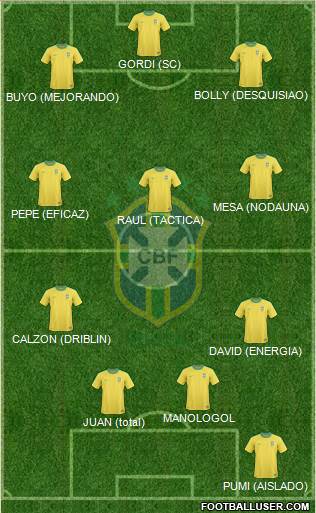 Brazil Formation 2013