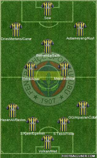 Fenerbahçe SK Formation 2013