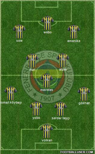Fenerbahçe SK Formation 2013