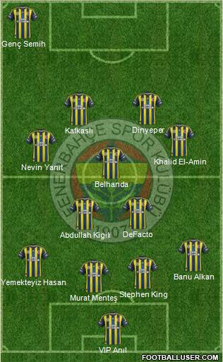 Fenerbahçe SK Formation 2013