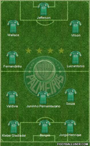 SE Palmeiras Formation 2013