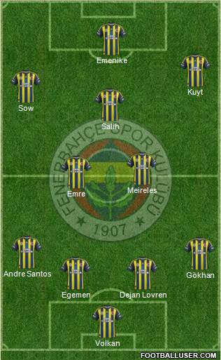 Fenerbahçe SK Formation 2013