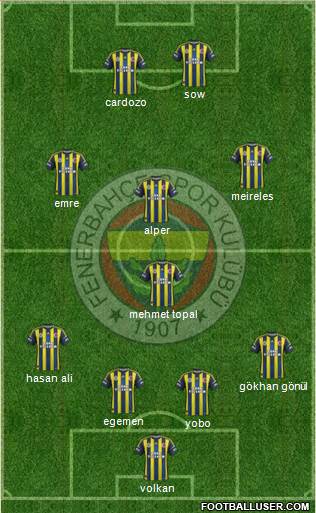 Fenerbahçe SK Formation 2013