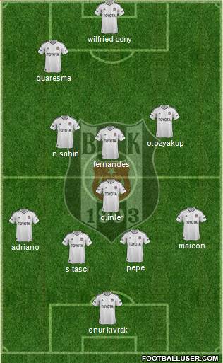 Besiktas JK Formation 2013