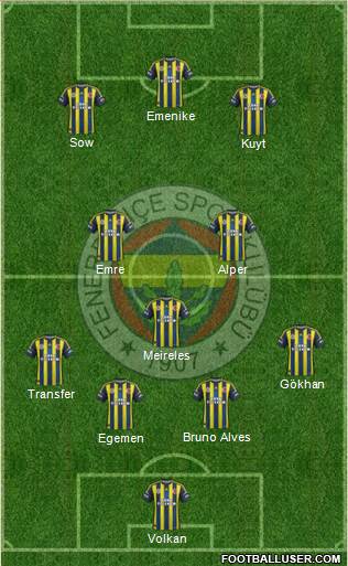 Fenerbahçe SK Formation 2013