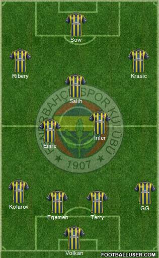 Fenerbahçe SK Formation 2013