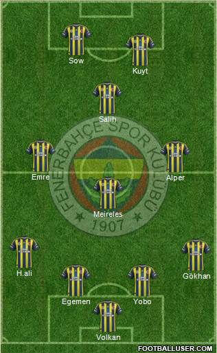 Fenerbahçe SK Formation 2013