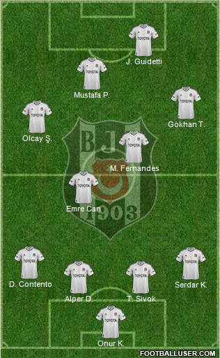 Besiktas JK Formation 2013