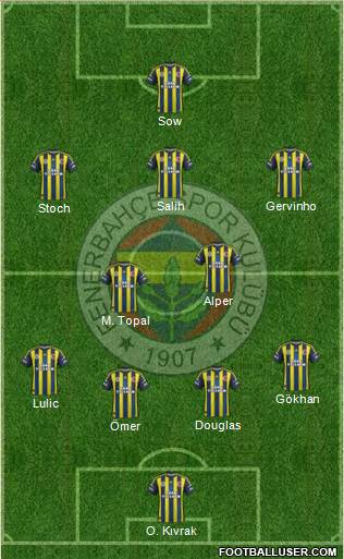Fenerbahçe SK Formation 2013