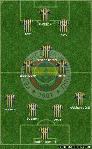 Fenerbahçe SK Formation 2013