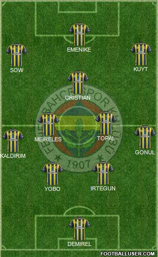 Fenerbahçe SK Formation 2013