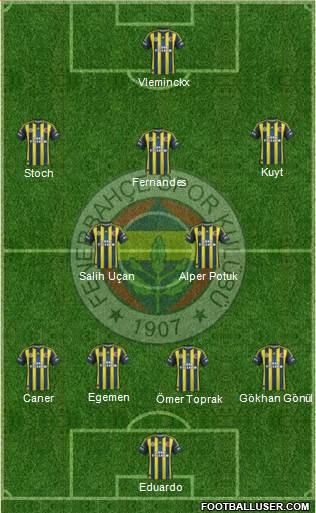 Fenerbahçe SK Formation 2013
