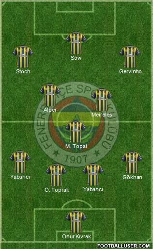 Fenerbahçe SK Formation 2013