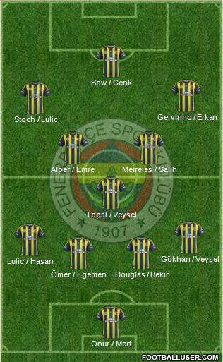 Fenerbahçe SK Formation 2013