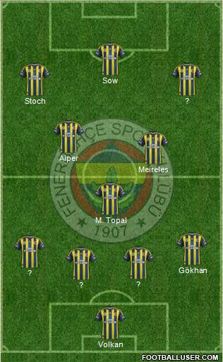 Fenerbahçe SK Formation 2013
