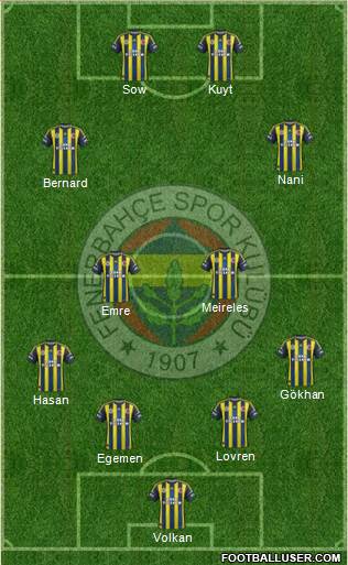Fenerbahçe SK Formation 2013