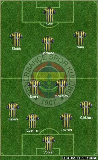 Fenerbahçe SK Formation 2013