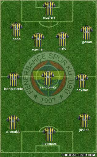 Fenerbahçe SK Formation 2013