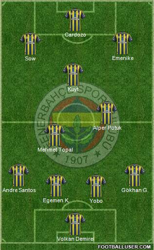 Fenerbahçe SK Formation 2013