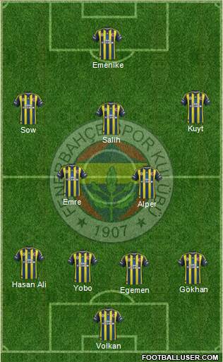 Fenerbahçe SK Formation 2013