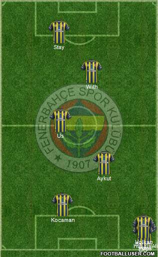 Fenerbahçe SK Formation 2013