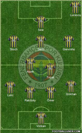 Fenerbahçe SK Formation 2013