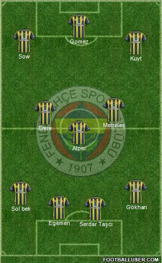 Fenerbahçe SK Formation 2013