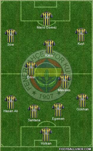 Fenerbahçe SK Formation 2013