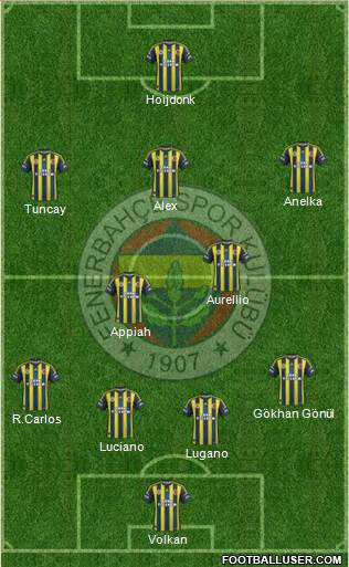 Fenerbahçe SK Formation 2013