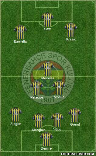 Fenerbahçe SK Formation 2013