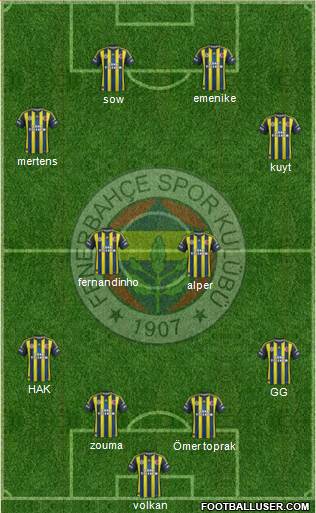 Fenerbahçe SK Formation 2013