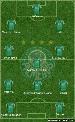 SE Palmeiras Formation 2013