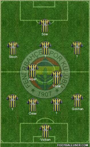 Fenerbahçe SK Formation 2013