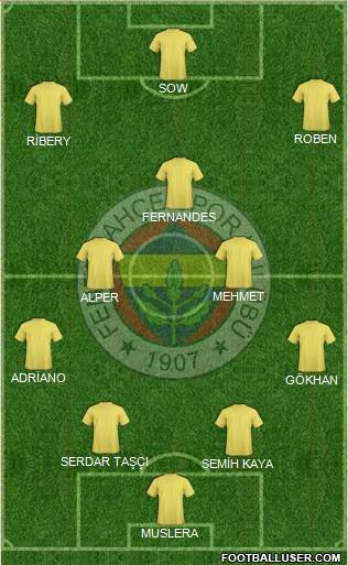 Fenerbahçe SK Formation 2013
