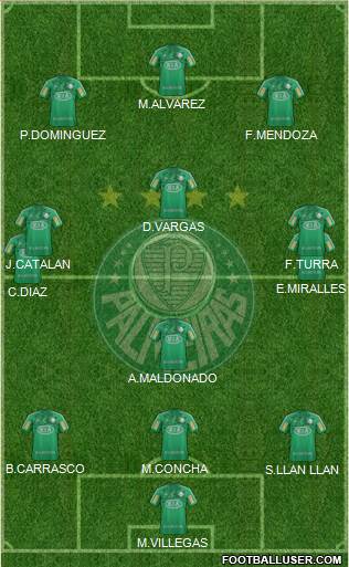 SE Palmeiras Formation 2013