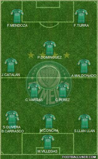 SE Palmeiras Formation 2013