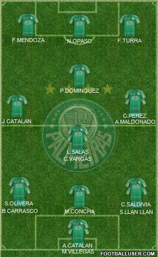 SE Palmeiras Formation 2013