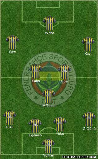 Fenerbahçe SK Formation 2013